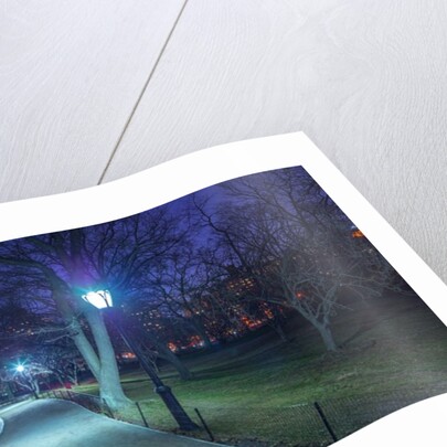 Central park, New York by Assaf Frank